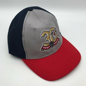 Senators Minor League Baseball Cap Harrisburg PA Minors 30th Anniversary Hat NEW